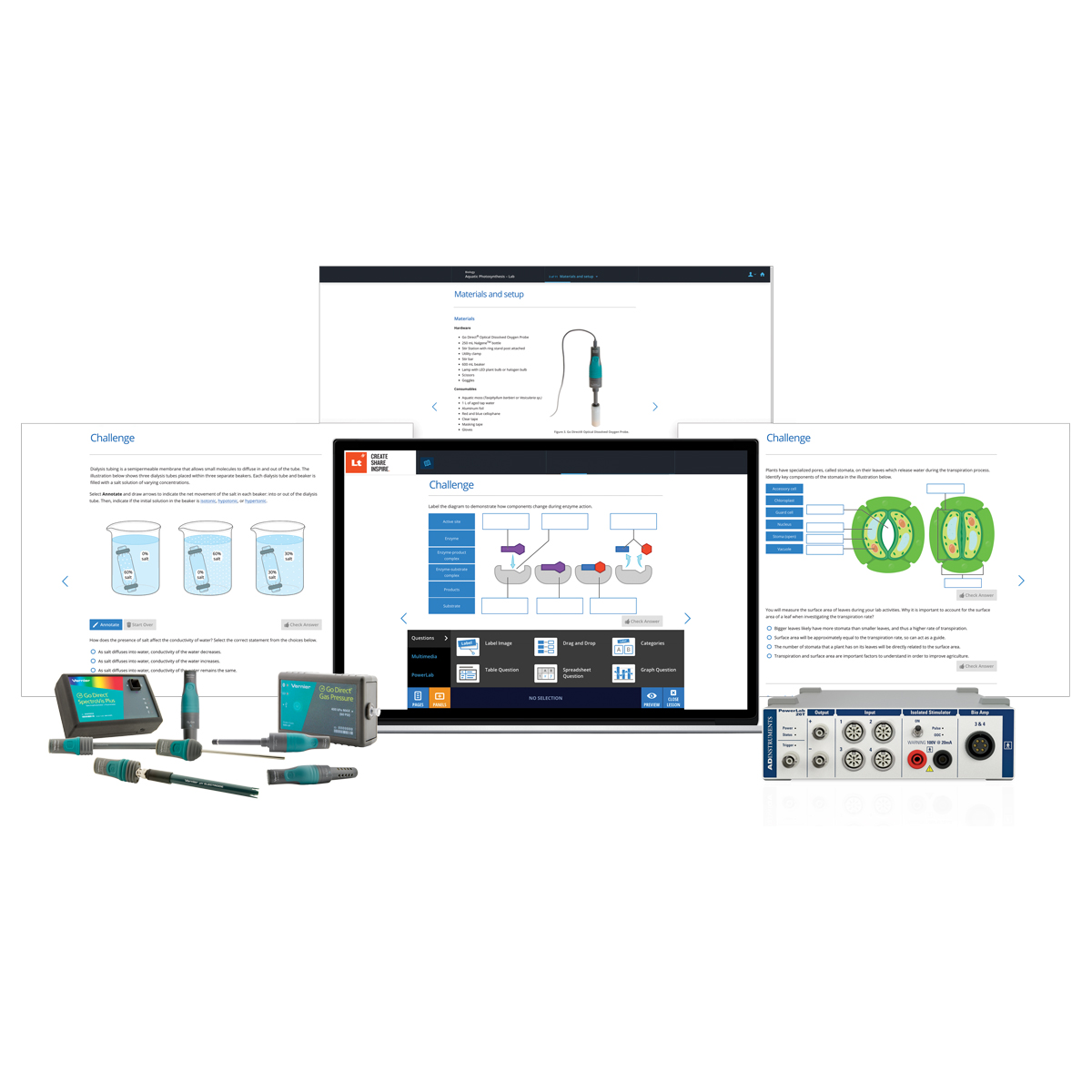 screenshot of Lt for labs